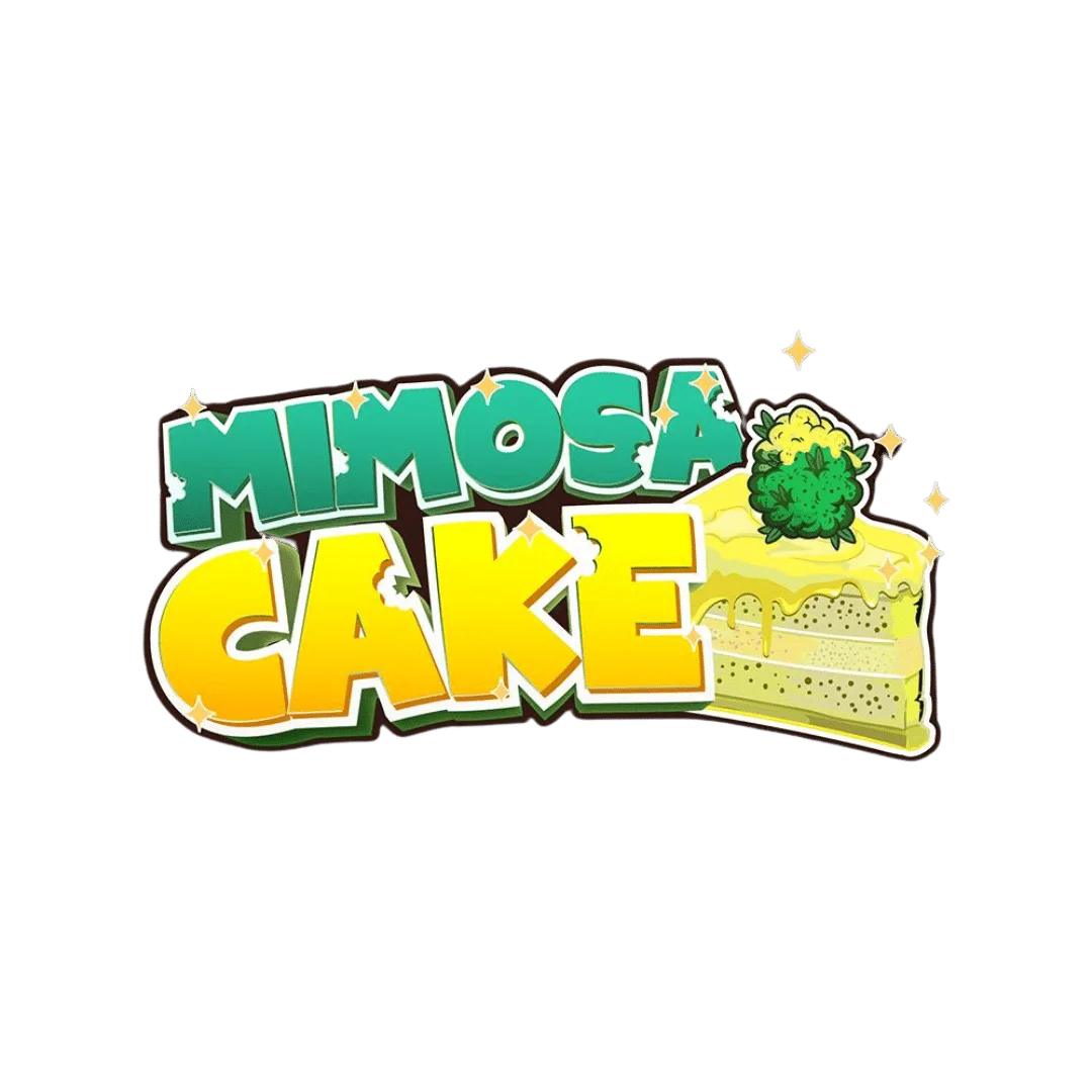 Mimosa Cake Small Bud